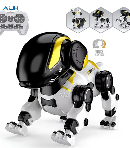 Kids Toys
